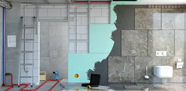 Best Post-Construction Mold Inspection  in Hanover, MN