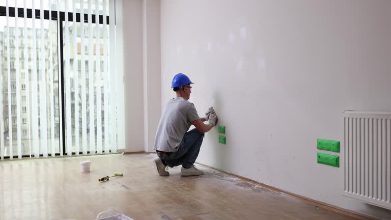 Best Black Mold Removal  in Hanover, MN