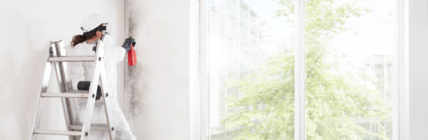 Best Air Quality Testing for Mold Spores  in Hanover, MN