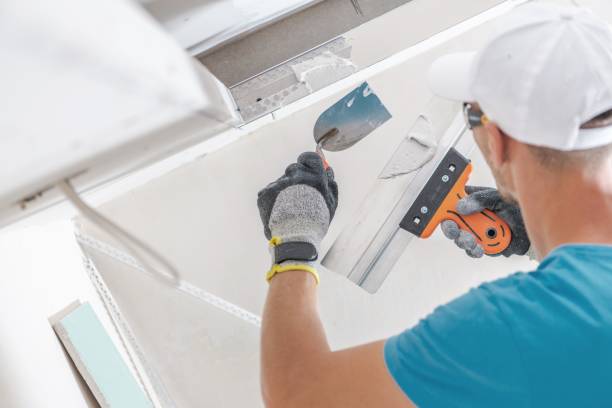Best Mold Documentation for Insurance Claims  in Hanover, MN